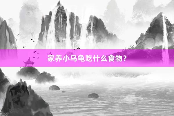 家养小乌龟吃什么食物？